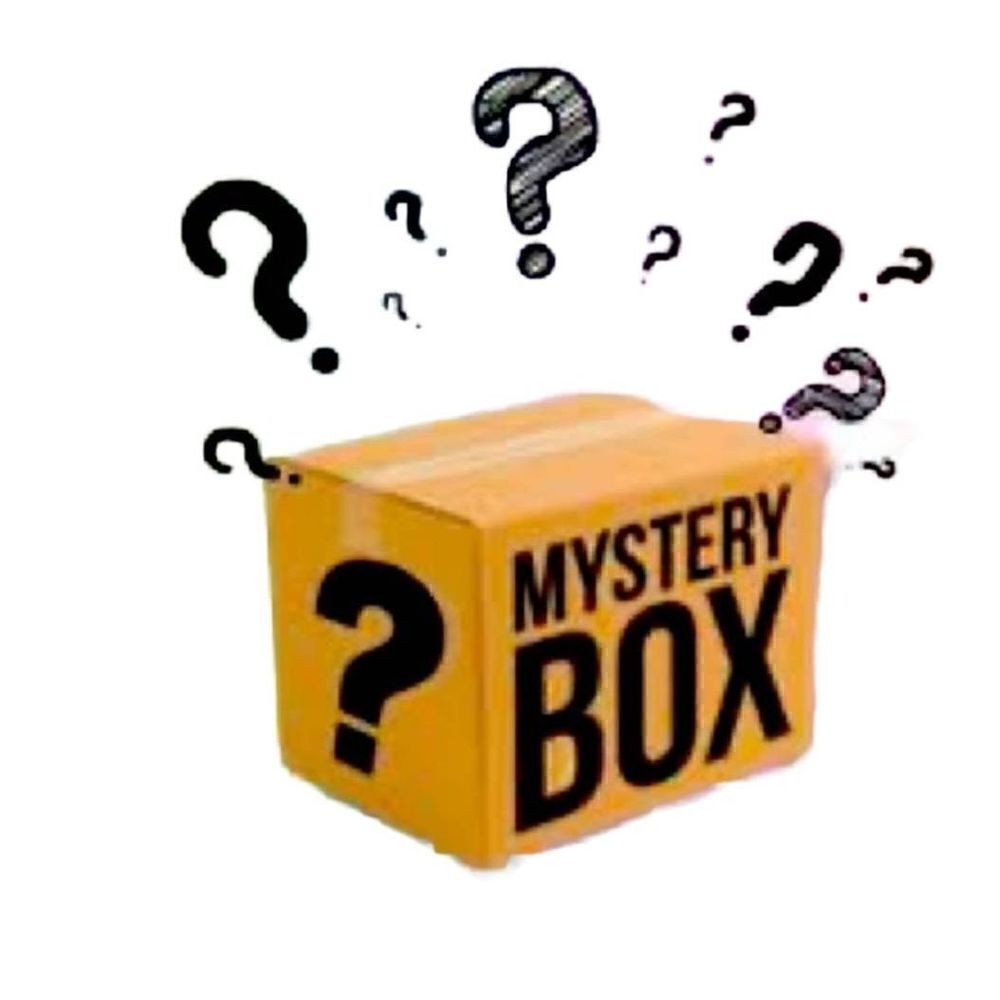 Mystery Box Womens Mixed Brands Top and Blouses Excellent Condition